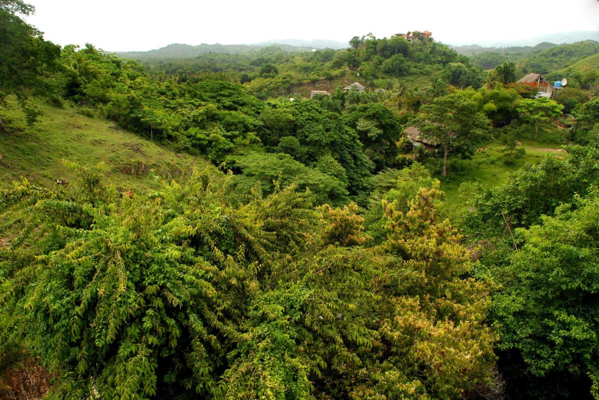 Clave Verde Ecolodge ลาสแตร์เรนาส ภายนอก รูปภาพ