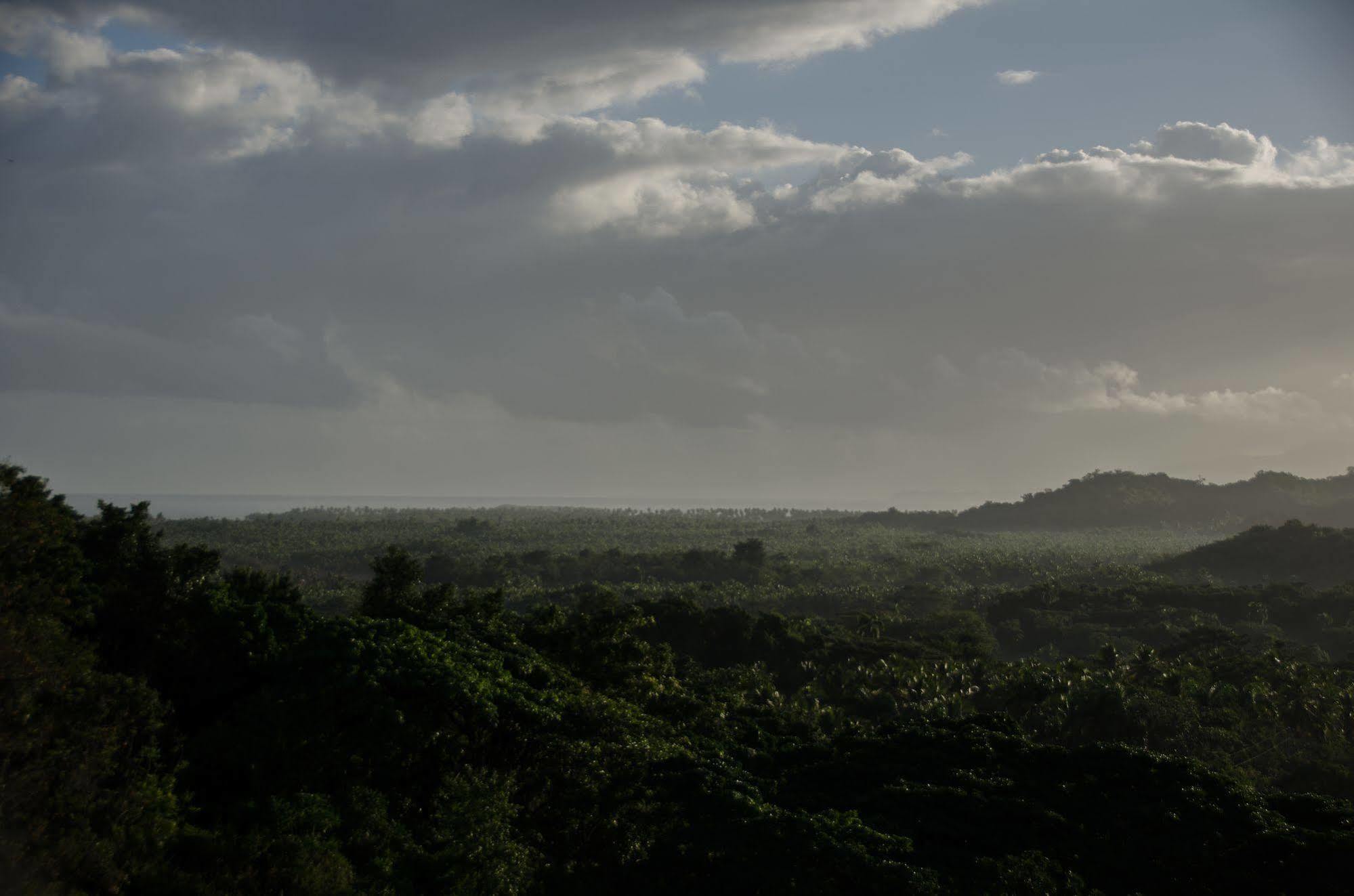 Clave Verde Ecolodge ลาสแตร์เรนาส ภายนอก รูปภาพ